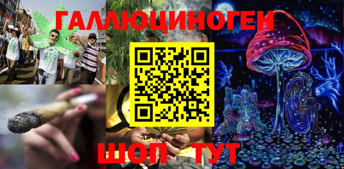 Псилоцибиновые грибы Cubensis  Вход с VPN  Галлюциногенные грибы Cubensis  Александров 