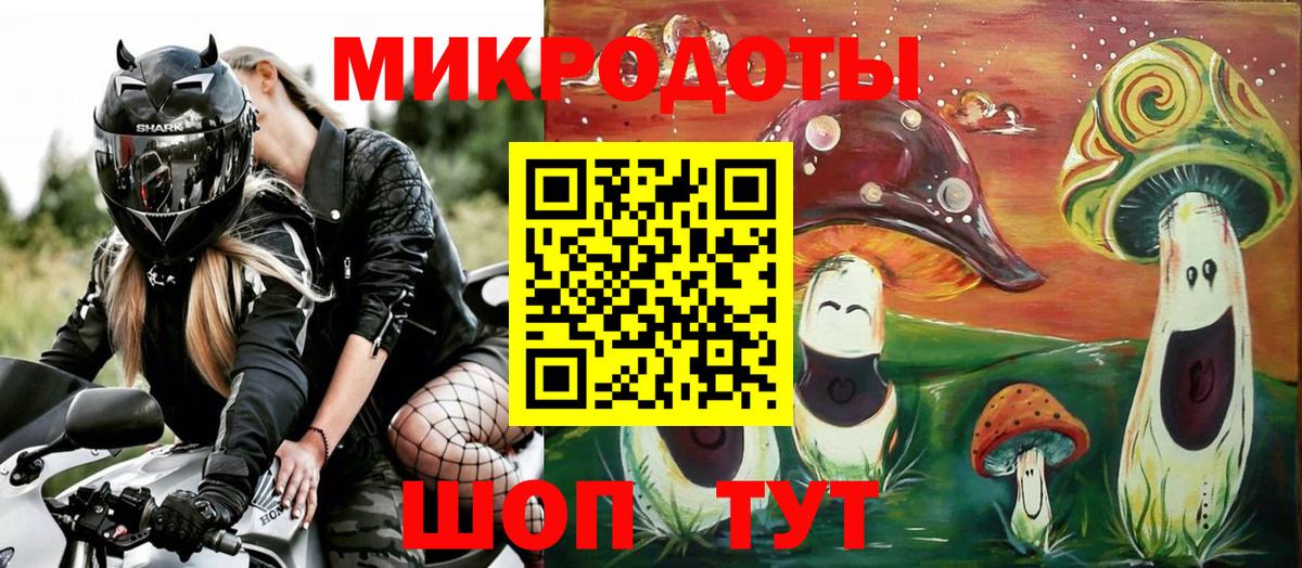 Псилоцибиновые грибы Psilocybe Александров